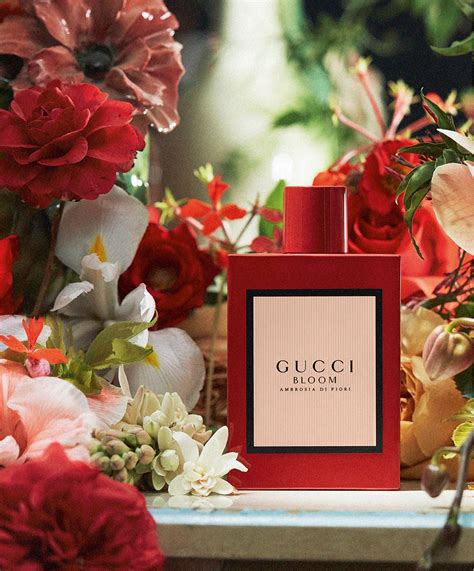 gucci bloom collection.